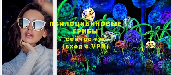 тгк Аркадак